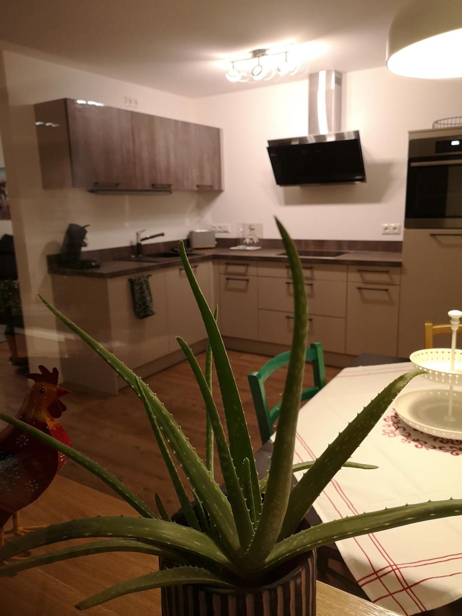 Inntalblick Nußdorf am Inn Zimmer foto